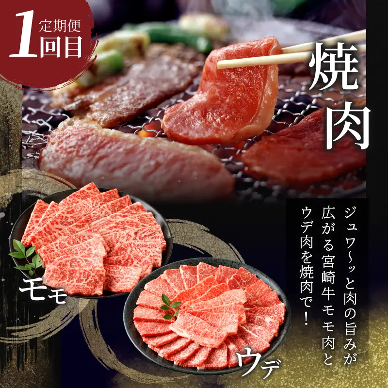 3か月お楽しみ定期便『宮崎牛よくばりセット』総重量2.4kg 肉 牛 牛肉 おかず 国産_T030-1366