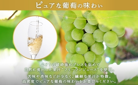 スパークリングワイン KPワインSテロワール北海道産 スパークリングワイン【750ml】