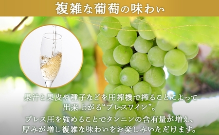 スパークリングワイン KPワインTテロワール辛口 スパークリングワイン【750ml1本】