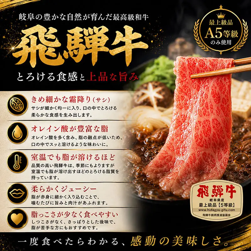飛騨牛切り落とし　600ｇ(300g×2) 牛肉 お肉 国産 黒毛和種 柔らかい とろける くちどけが良い 霜降り 細かいサシ 食材 食卓 グルメ 