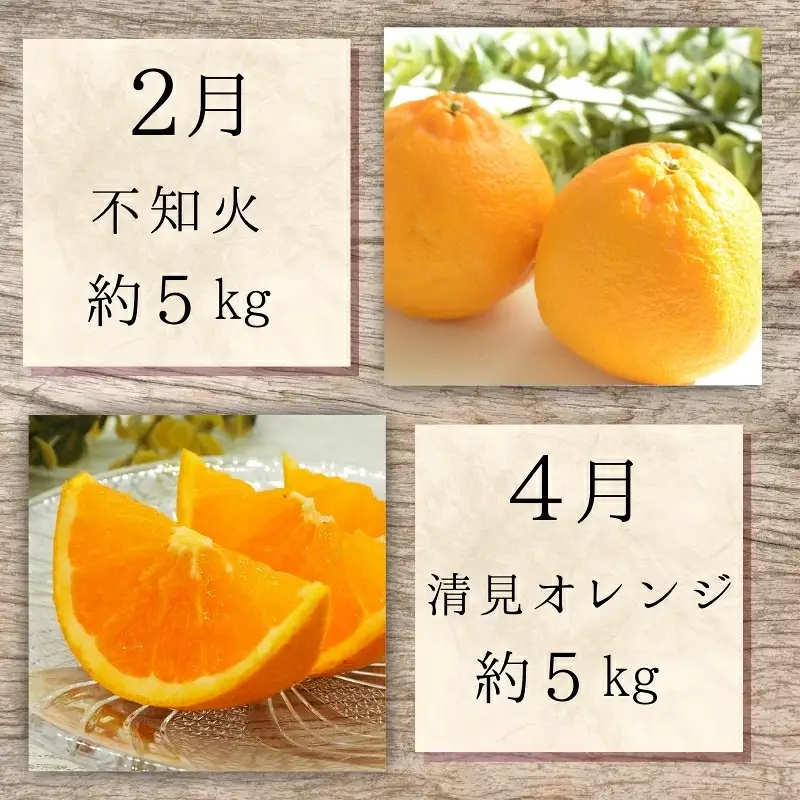 【2・4・6・8・10・12月 偶数固定月発送 全6回】和歌山産 旬のフルーツ お楽しみ 定期便 【魚鶴商店】【UT113w】【Z91095-tkb】