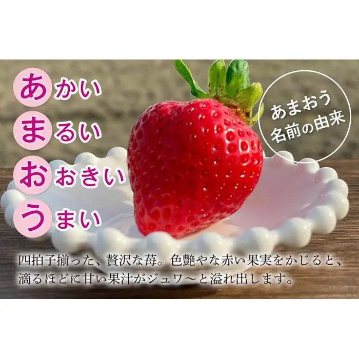 福岡県産あまおう 約270g×2パック 朝採りイチゴ 農家直送 苺専用パッケージでお届け