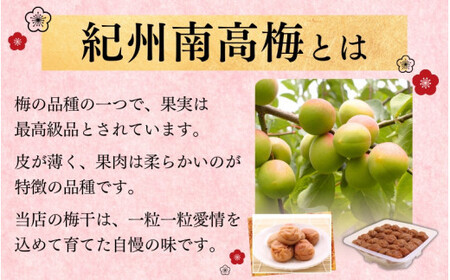 梅干し 紀州南高梅干し 大粒 1kg ご家庭用【inm510B】