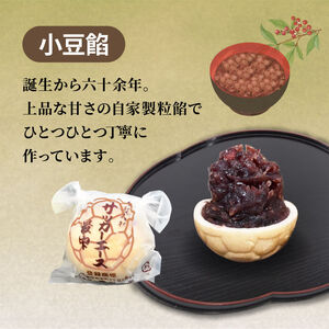サッカー エース 最中 3種 15個 詰め合わせ 和菓子