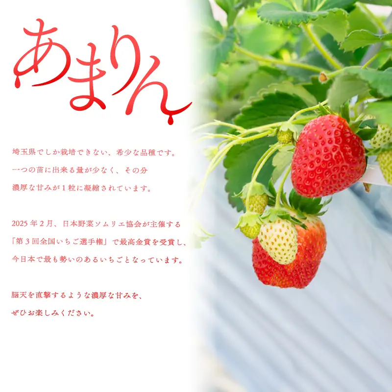 【先行予約】いちご あまりん  2パック 苺 あまりん