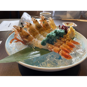 （先行予約）鳥取網代港 ≪幻のエビ≫朝獲れ！活モサエビ約500g【さかなや新鮮組】発送は2027年2月～【23003】