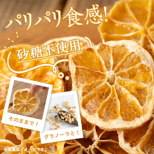 isa567 ドライフルーツ日向夏「そのまんまドライしました。」(計12袋・各20g) ドライフルーツ 日向夏 砂糖不使用 小分け 手づくり ギフト 加工食品 果物 フルーツ ハンドメイド ギフト【薩摩美食倶楽部】