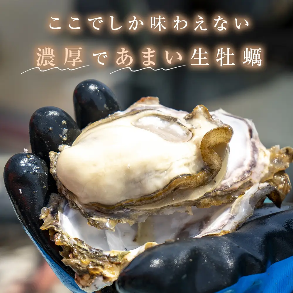 宮城県産 牡蠣 殻付き 生食用 18個（6個入×3袋） 冷凍 カキ