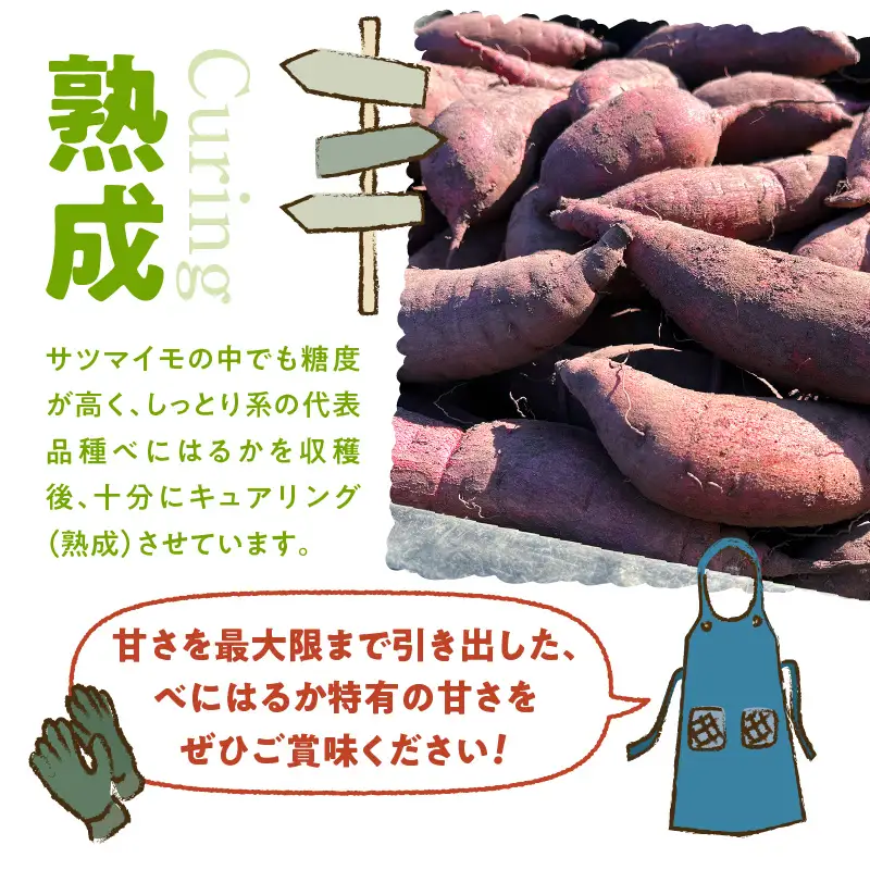 サイズバラバラ熟成べにはるか（生芋）土付き 5kg K270-001