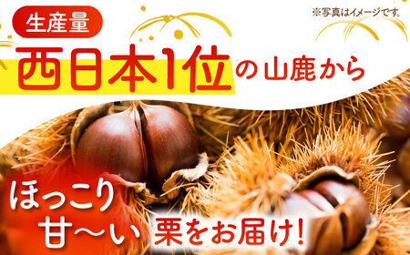 【先行予約】 和栗 L~3L(約1kg) 熊本 山鹿 国産 生栗 【すみれファーム】 [ZEP057]