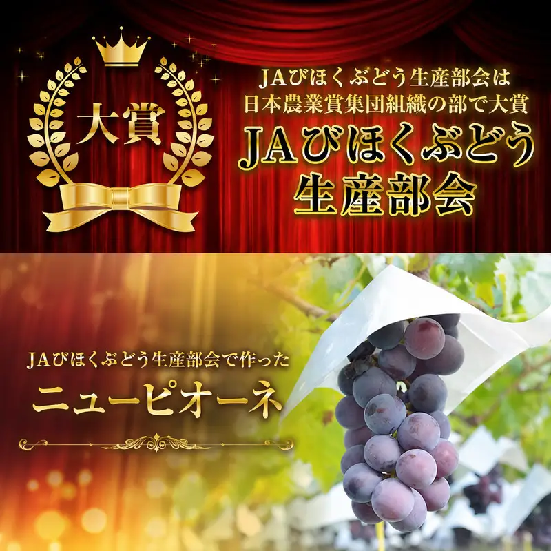 ニューピオーネ 岡山県産 ニューピオーネ【約4kg】【先行予約】