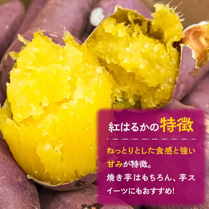 【数量限定】【ねっとり甘い熟成サツマイモ】冷凍焼き芋（紅はるか） 20本(S?M) / さつまいも やき芋 冷凍 小分け 個包装 冷やし焼き芋 / 南島原市 / 池田海陸物産 [SEW001]