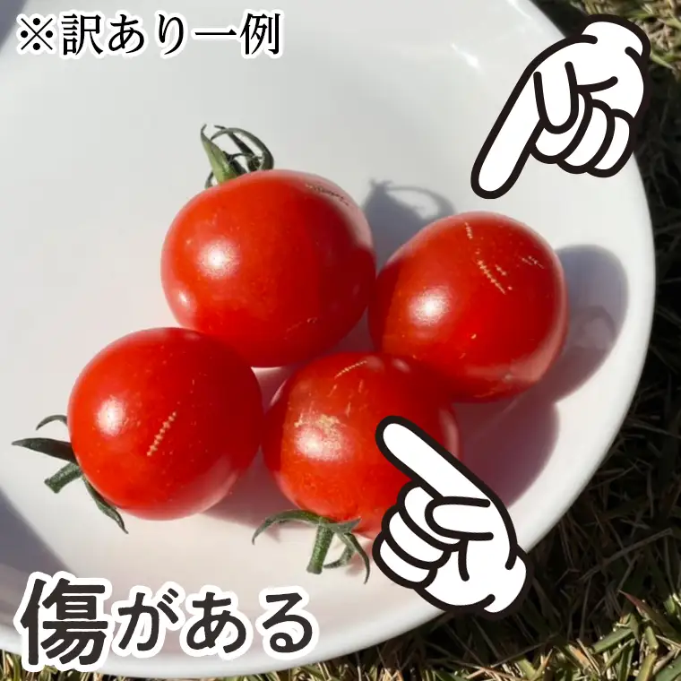 【訳あり】高糖度ミニトマト「宝玉丸」3kg【期間・数量限定】