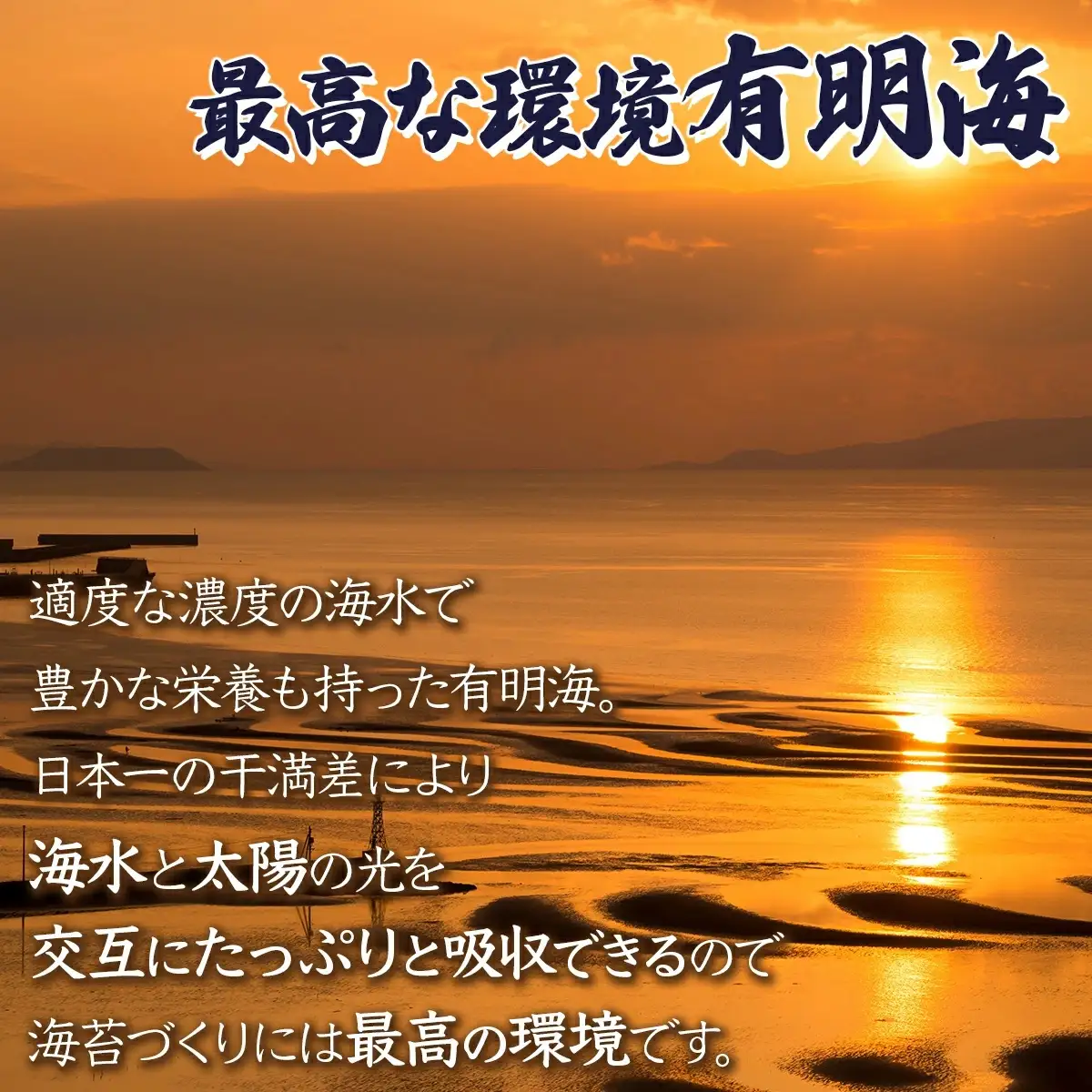 佐賀海苔 極厚初摘み焼海苔 7袋セット D-638