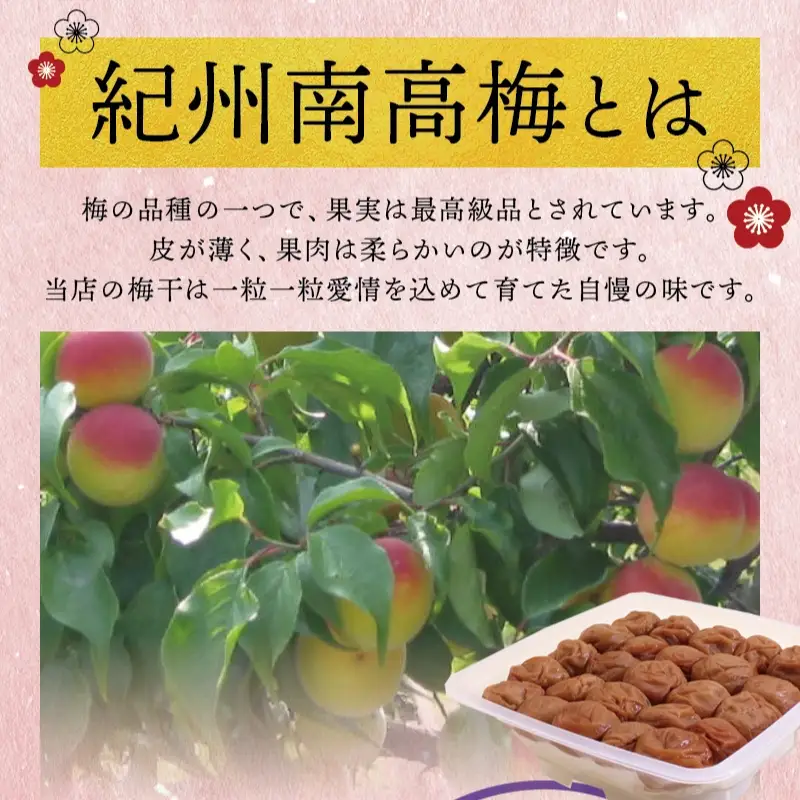 梅干し 最高級紀州南高梅・大粒優梅 1kg　無添加【ご家庭用】【inm510C】