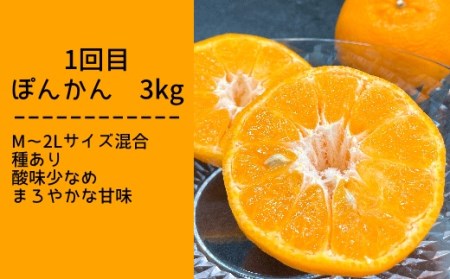 【令和８年発送】先行予約　柑橘フルーツ４回定期便（ぽんかん３kg・麗紅３kg・文旦５kg・小夏３kg）【J00018】