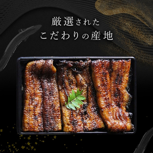 鰻蒲焼重箱「特上」 山椒・漬物付き　ギフト ウナギ 鰻 蒲焼 国産 国内産 プレゼント 誕生日 お歳暮 上田市 コシヒカリ グルメ 贅沢