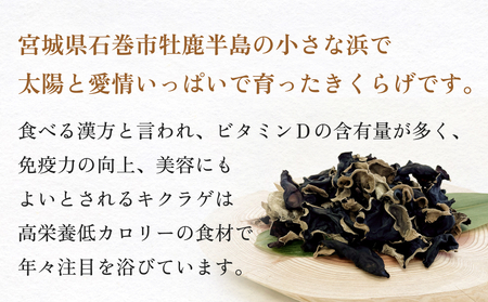 金華きくらげ（乾燥）漁師がつくる お楽しみセット 乾燥きくらげ
