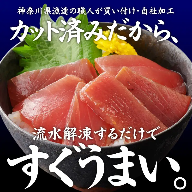 ＜選べる配送月＞【 神奈川県漁連 】 ＜ 小分けパック で 使いやすい ＞切れてる 天然マグロ 100g×10パック  M077-005 冷凍 マグロ