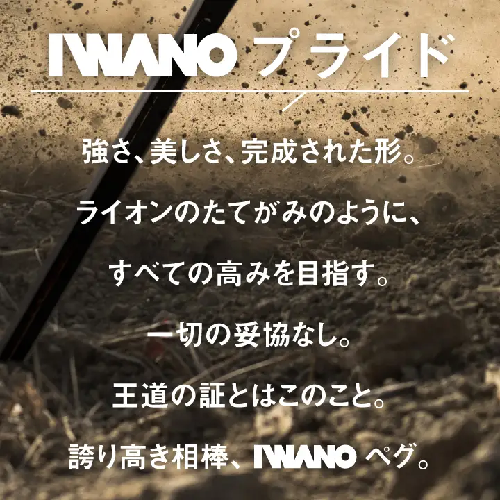 IWANOペグ8本セット《抜かない限り抜けません》テントを張るならIWANOペグ