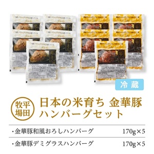 SC0509　【平田牧場】日本の米育ち 金華豚 ハンバーグ2種セット　計10個(和風おろし、デミグラス 各5個)