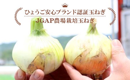 【3ヶ月定期便】「追熟甘玉ねぎ」３kg