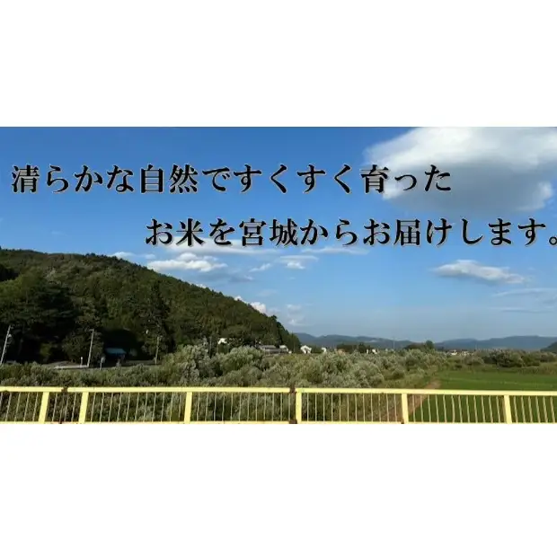米 令和7年産 ササニシキ 精米 10kg お米 ごはん ご飯 飯 10キロ 単一銘柄米 主食 こめ コメ 家庭用 美味しい ブランド米 あっさり 食感 ささにしき おにぎり おかゆ 送料無料 宮城県 石巻 石巻市