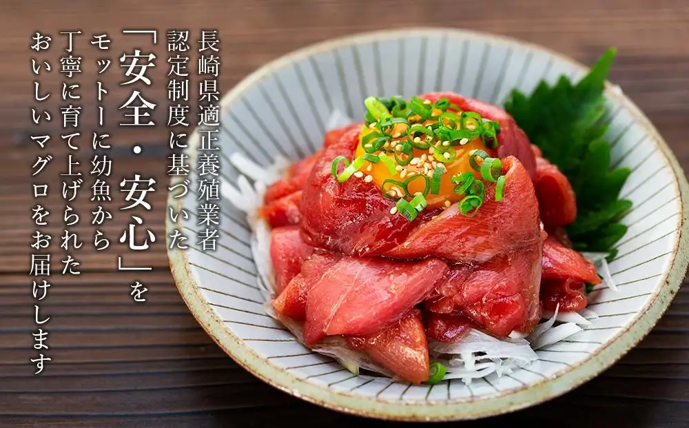 【3回 定期便】長崎県産 本マグロ中落ち 約600g（約200g×3P）