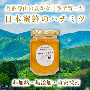 【限定数量】日本蜜蜂ハチミツ 170g はちみつ