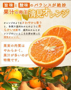 主井農園 高級 清見オレンジ 約2kg サイズ混合_ZS6156