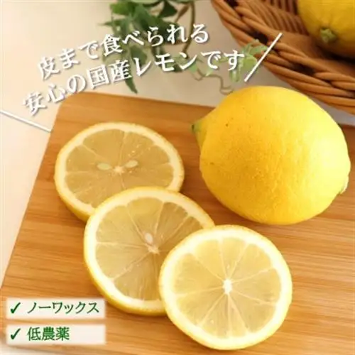 【ノーワックス】国産 紀州 レモン 約3kg(サイズおまかせ)　【★先行受付★2027年2月～発送】【1484257】