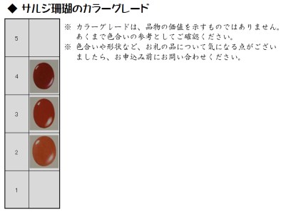 海の秘宝珊瑚 赤ちゃんのお守りD お守り