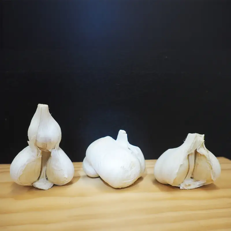 JA津軽みらいの訳あり ときわにんにく 約2kg 【JA津軽みらい】 にんにく ニンニク 大蒜 わけあり ワケアリ 訳アリ農協 常盤 トキワ おすすめ 青森県 藤崎町 東北 F41-0001