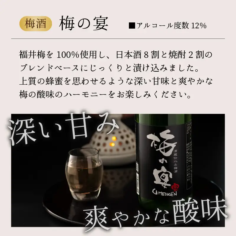 梅酒 一本義 梅の宴 日本酒ベース 720ml×2本 [A-008062]