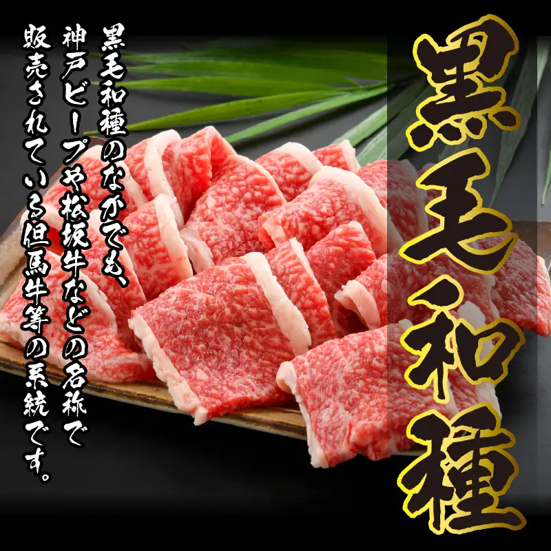 若狭牛 焼肉 900g [C-012002]