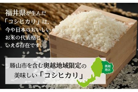 令和6年産 福井県産奥越コシヒカリ2kg ×1袋 [A-015018]