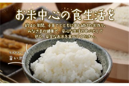 令和6年産 コシヒカリ4kg [A-020015]