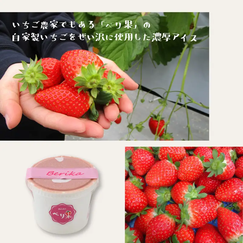 いちごアイス 12個 アイス