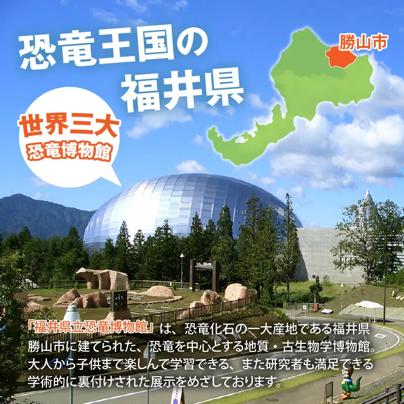 恐竜博物館 観覧券 常設展 一般2名 [A-048007]