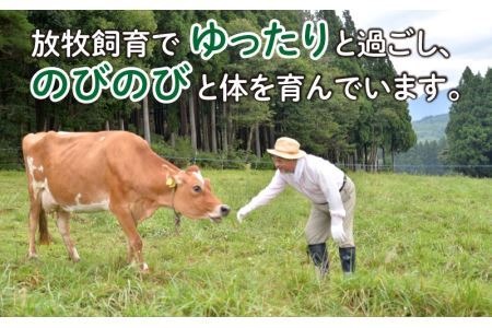 奥越前 ラブリー牧場   匠のベーコン ・ ウインナーセット [B-054002]