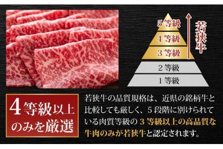 【肉の定期便×12回コース】肉好き大集合！若狭牛 食べ比べ 定期便！【福井のブランド牛肉】【4等級以上】[O-058001]