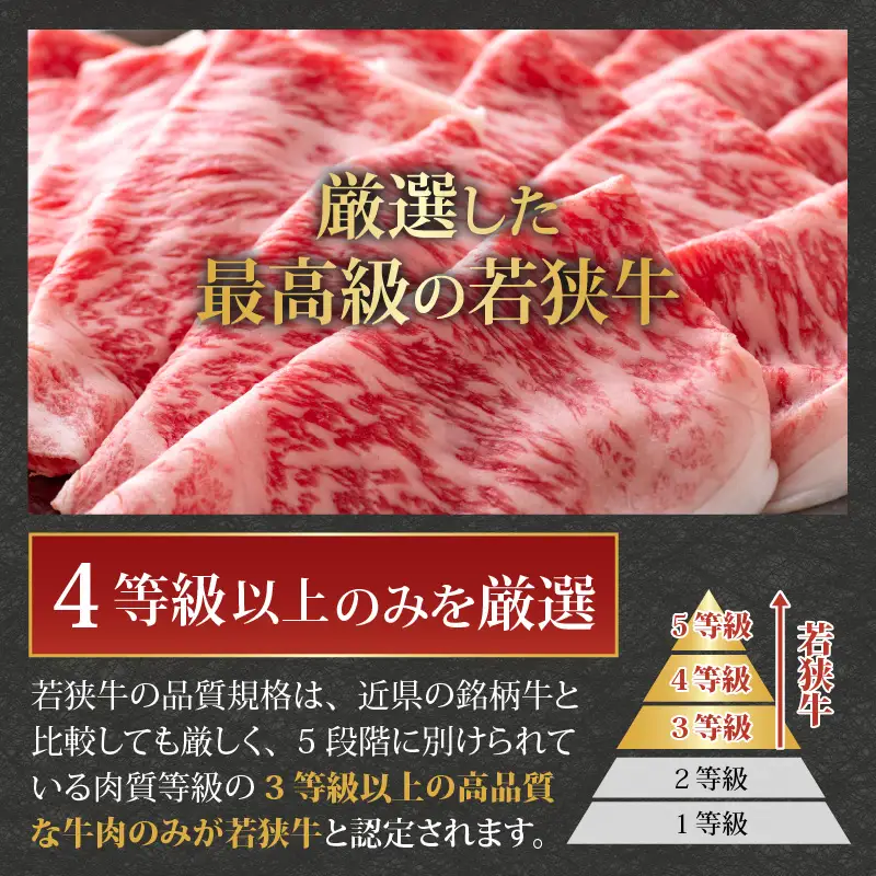 若狭牛 ロース・肩ロース しゃぶしゃぶ用 500g [C-058004]