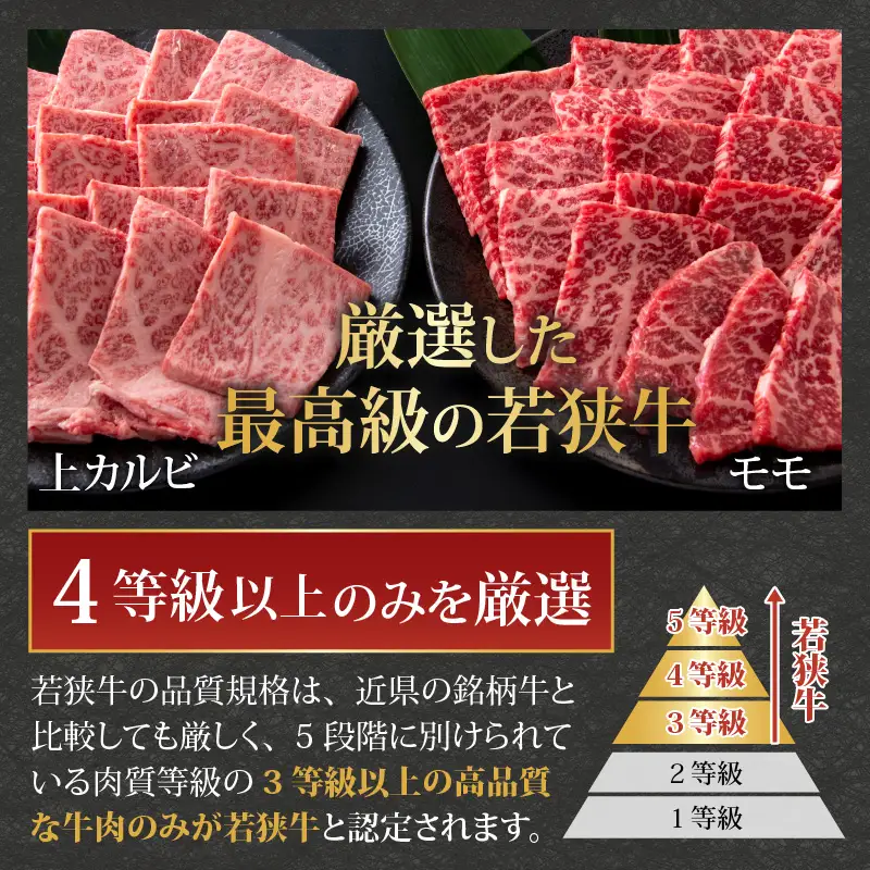 若狭牛 焼肉食べ比べセット 1kg（上カルビ・モモ）[E-058002]