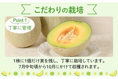 【先行予約】勝山 若猪野メロン (2玉 箱入り)  ※2024年7月中旬～8月中旬頃発送  [A-058005]