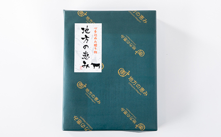 ＜ 定期便 ＞せんば牛男子 ハンバーグ 140g×10全12回 ハンバーグ ハンバーグ ハンバーグ ハンバーグ ハンバーグ 定期便 定期便 定期便