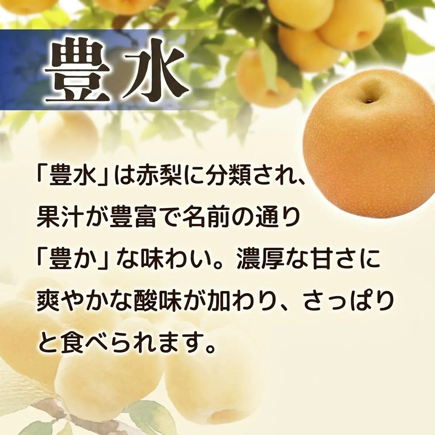 梨 豊水 約5㎏ 梨