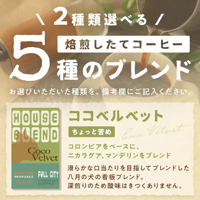 コーヒー豆 500gx2種 選べる飲み比べ コーヒー豆