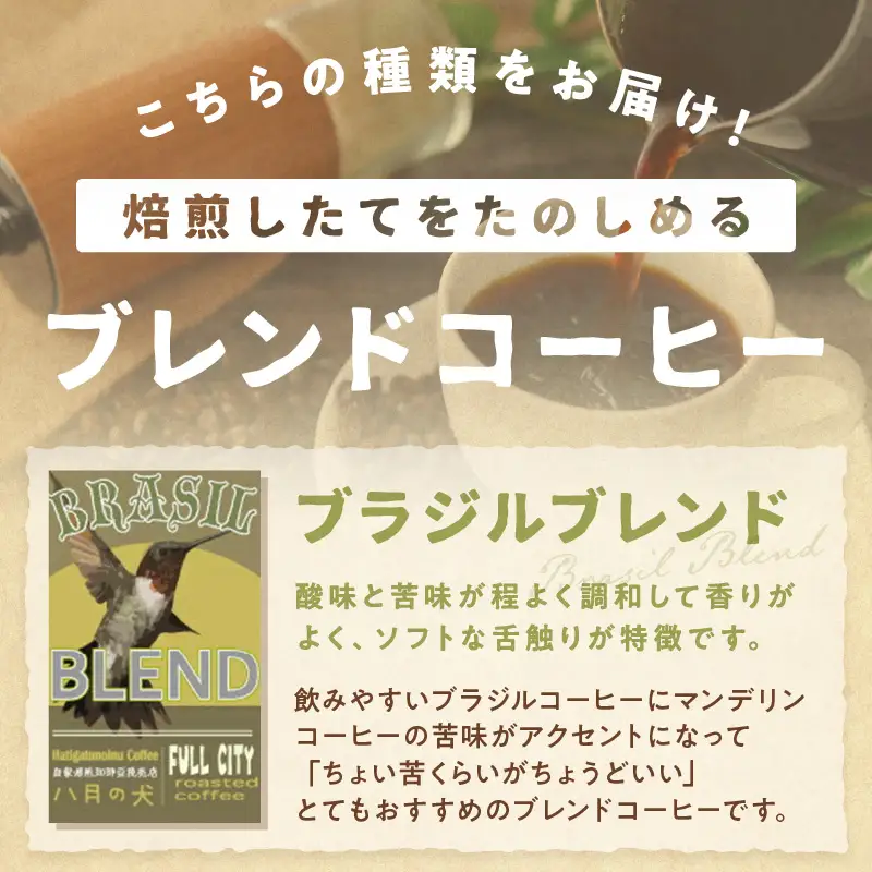 コーヒー豆 ブラジルブレンド 定期便 400g×3回 コーヒー豆