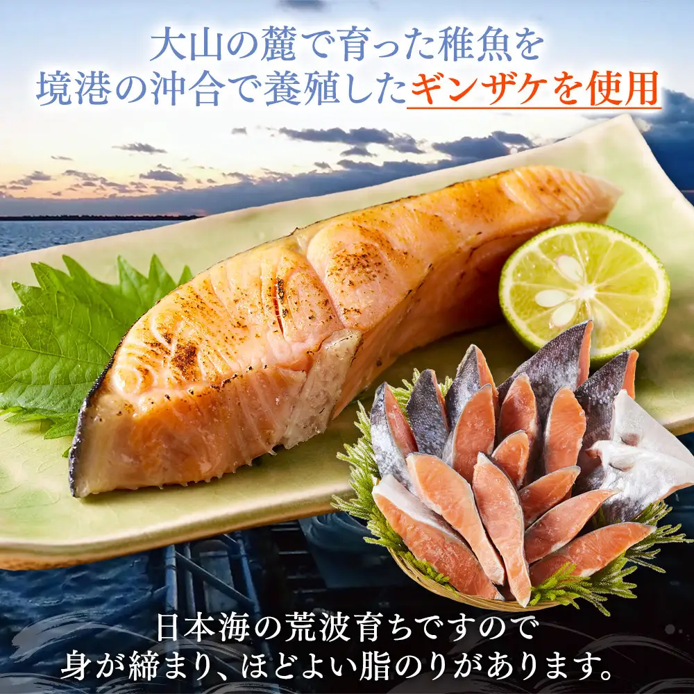 鳥取県産 活〆 境港 サーモン 定塩 塩鮭 切り身 1/4カット 真空パック×4 合計約1.5kg 鮭 鮭 サーモン
