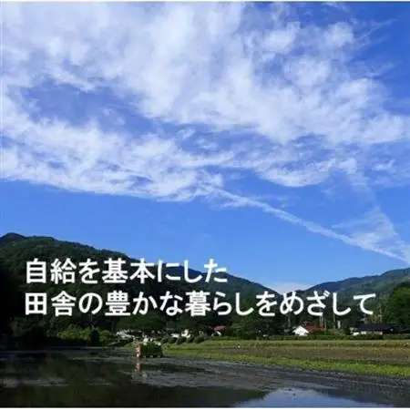【栽培期間中化学肥料・化学農薬不使用】令和7年産R1米コシヒカリ10kg(精米)【1448701】